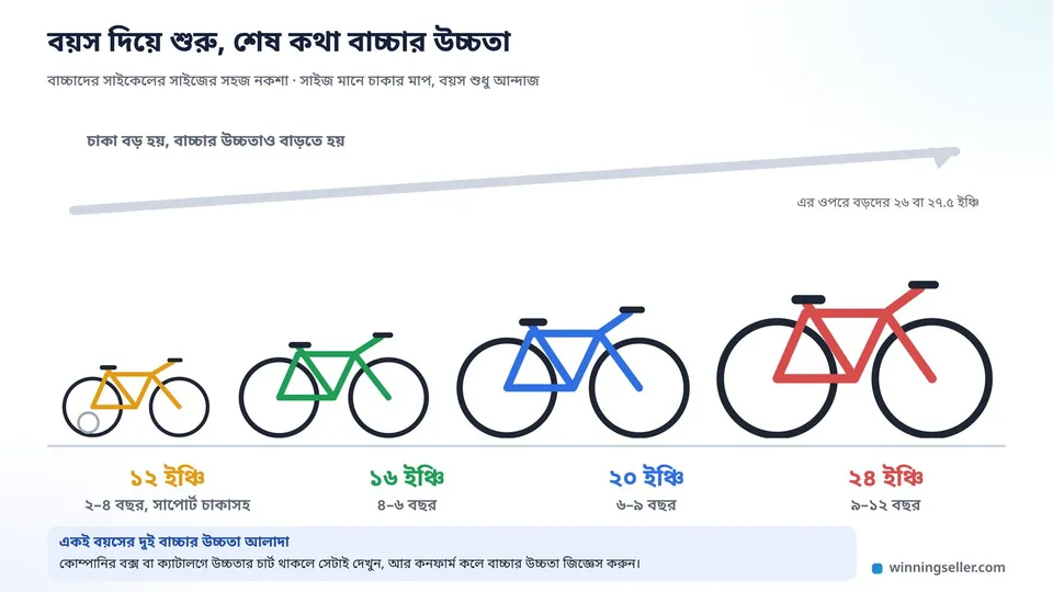 একটা পরিষ্কার নকশা, চারটা ছোট সাইকেল পাশাপাশি আঁকা, ছোট থেকে বড়, প্রতিটার নিচে চাকার মাপ ১২, ১৬, ২০ আর ২৪ ইঞ্চি, আর তার নিচে বয়সের আন্দাজ আর উচ্চতার একটা সরল দাগ