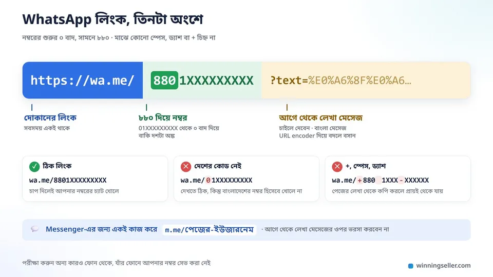 একটা wa.me লিংকের নকশা, তিনটা রঙিন অংশে ভাগ করা, প্রথমে https://wa.me/, তারপর 8801 দিয়ে শুরু নম্বর, শেষে ?text= দিয়ে আগে থেকে লেখা মেসেজ, প্রতিটা অংশের নিচে ছোট বাংলা লেবেল
