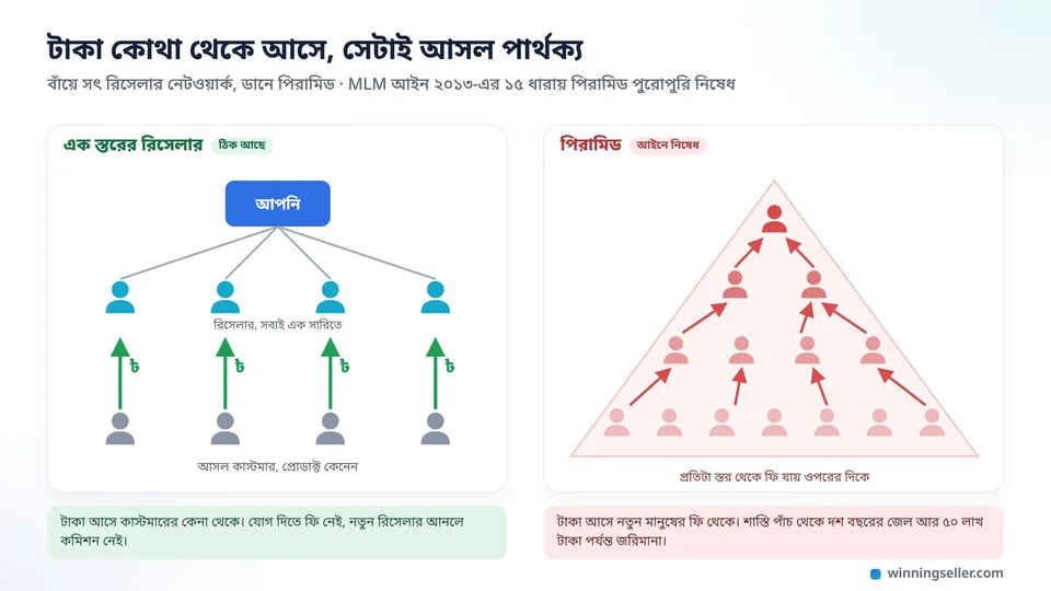 দুটো ড্রয়িং পাশাপাশি, বাঁ দিকে একজন সাপ্লায়ার আর তার নিচে এক সারিতে কয়েকজন রিসেলার, প্রত্যেকের পাশে কাস্টমার, ডান দিকে একটা পিরামিড যেখানে প্রতিটা মানুষের নিচে আরও মানুষ আর প্রতিটা স্তর থেকে টাকার তীর ওপরের দিকে যাচ্ছে