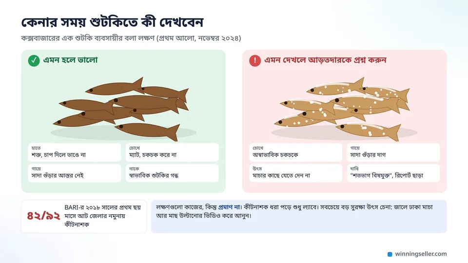 পাশাপাশি দুই স্তূপ লইট্যা শুটকির ছবি, বাঁ দিকেরটা ম্যাট বাদামি আর শক্ত, ডান দিকেরটা চকচকে আর গায়ে সাদা গুঁড়ার দাগ, নিচে কেনার সময় দেখার লক্ষণ আর ল্যাব টেস্টের কথা