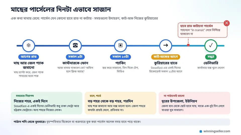 একটা দিনের সময়রেখার নকশা, আগের রাতে মাছ আর জেল প্যাক জমানো, সকাল ৯টায় কাস্টমারকে ফোন, সকাল ১০টায় প্যাকিং, কাট-অফের আগে কুরিয়ারে হাতে দেওয়া, সন্ধ্যায় ডেলিভারি, আর পাশে লাল কাটা দাগ দিয়ে হাবে রাত কাটানো পার্সেল
