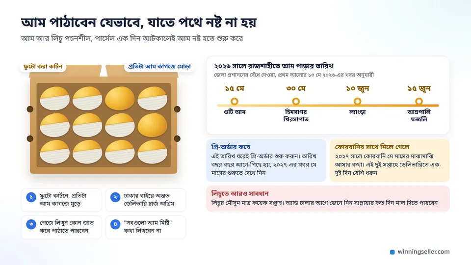 ফুটো করা কার্টনে কাগজে মোড়া আমের নকশা, পাশে ২০২৬ সালে রাজশাহীতে জাত ধরে আম পাড়ার তারিখ, গুটি ১৫ মে, হিমসাগর-খিরসাপাত ৩০ মে, ল্যাংড়া ১০ জুন, আম্রপালি-ফজলি ১৫ জুন