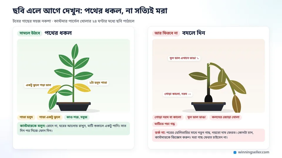 দুটো টবের গাছের নকশা পাশাপাশি, বাঁয়ের গাছে দুটো হলুদ পাতা আর একটু ঝুলে পড়া ডাল, ডানের গাছের গোড়া কালো আর মূল ডাল ভাঙা