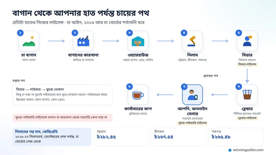 চা বাগান থেকে কাস্টমারের কাপ পর্যন্ত চায়ের পথের একটা সহজ ছবি, বাগান, কারখানা, ওয়্যারহাউজ, নিলাম, বিডার, ব্লেন্ডার, পাইকার আর শেষে একজন তরুণ অনলাইন সেলার, প্রতিটা ধাপ তীর দিয়ে জোড়া